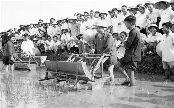 bac ho voi ba con nong dan xa dai thanh ha dong, ngay
