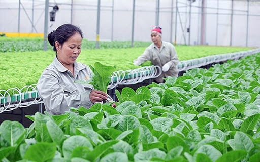20201128183015602se-co-5.000-hop-tac-xa-ung-dung-cong-nghe-cao-tren-13-0 (1)