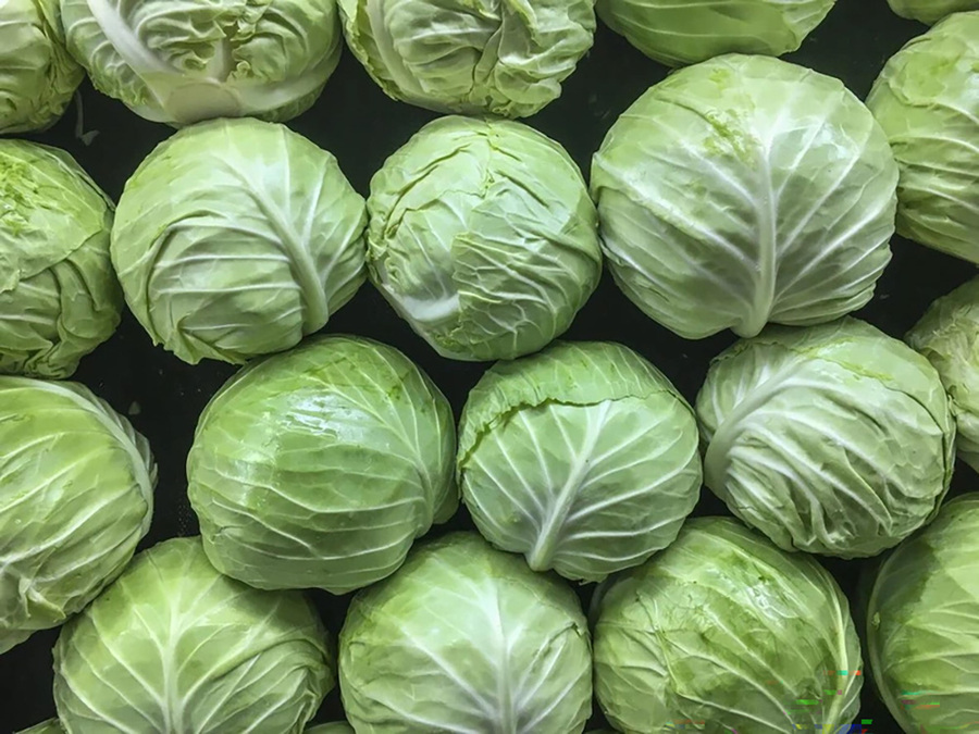 bapcai