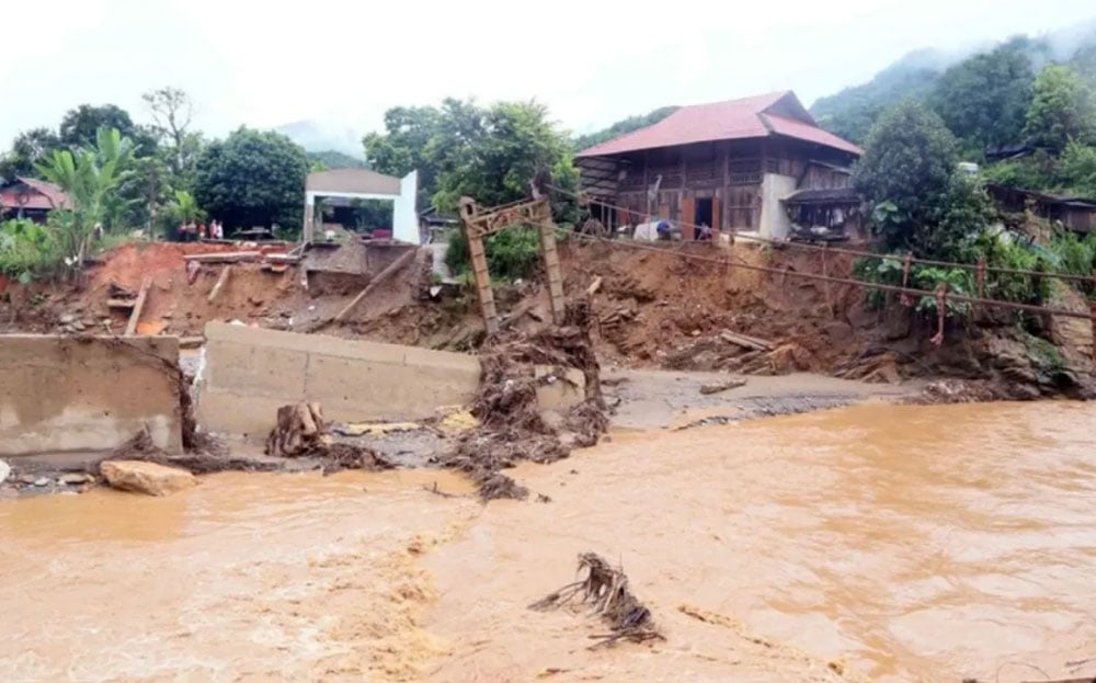 ngaplut