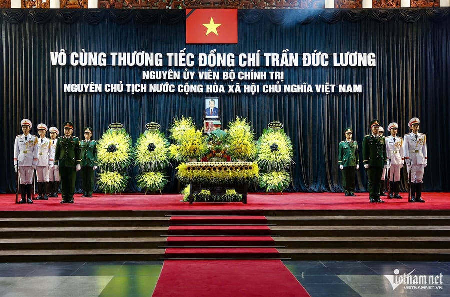 w-tieu-binh-25592