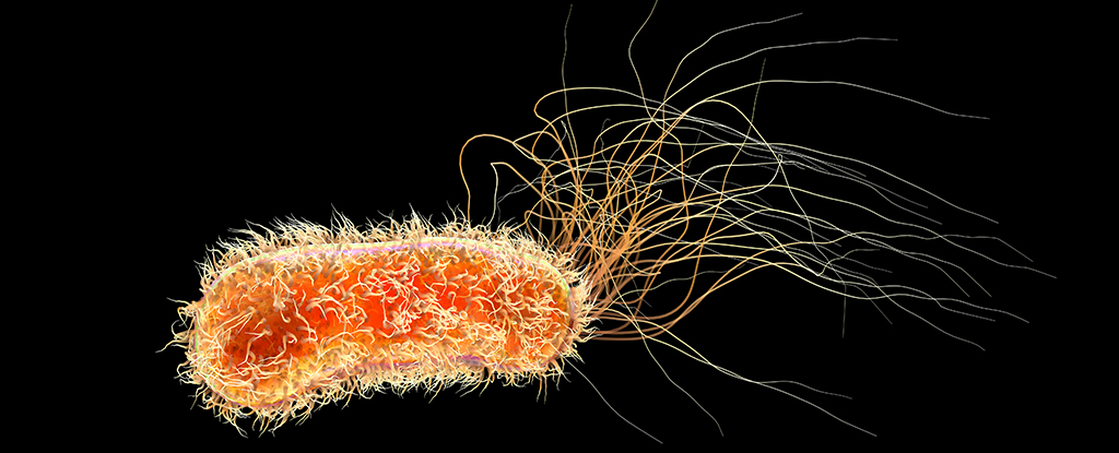 pseudomonas_black_background