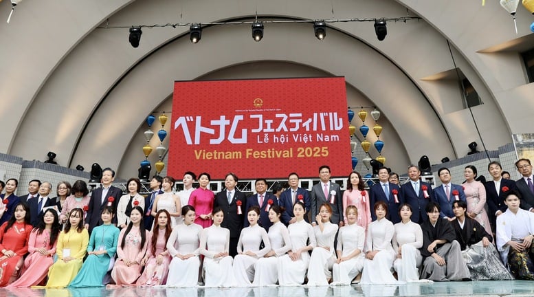 vn nb