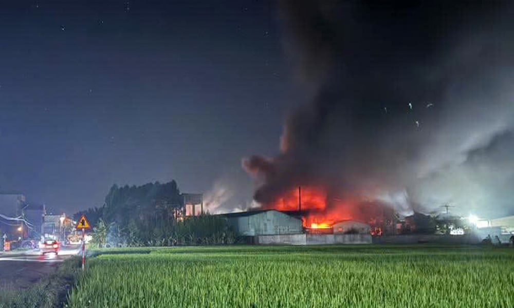 bacgiang