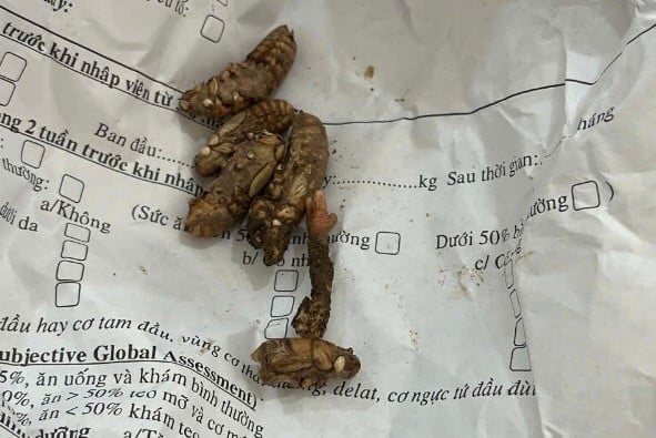 gialai