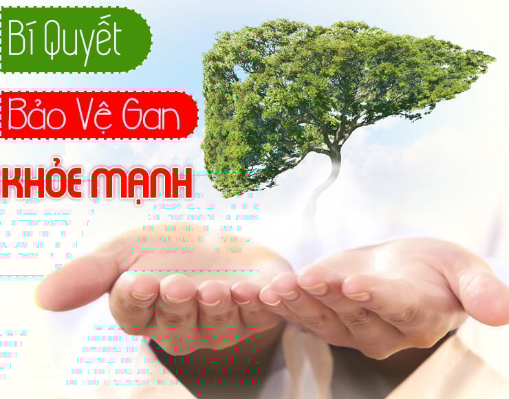 bv_baovegan