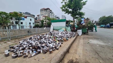 báo 1 ngày 9.8