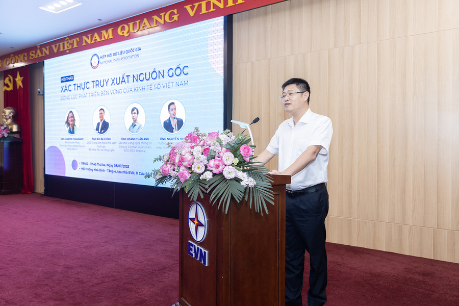 Đại tá Phạm Minh Tiến phát biểu tại hội thảo - Ảnh: VGP/HM