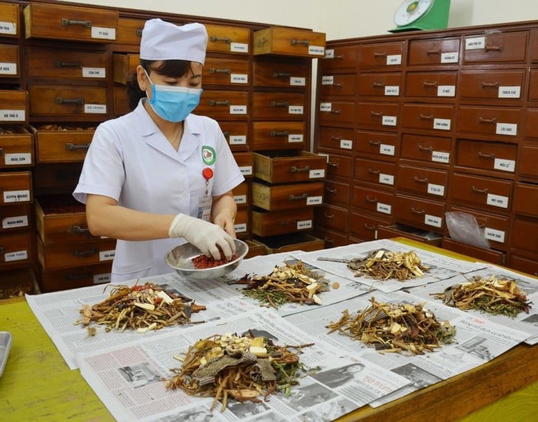 Vị thuốc cổ truyền, dược liệu phải công bố tiêu chuẩn chất lượng trước khi lưu hành