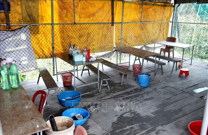 Một trong ba quán bán lòng lợn, tiết canh tại thôn Đồng Kỷ, xã Quỳnh An (Hưng Yên). (Ảnh: Thế Duyệt/TTXVN)