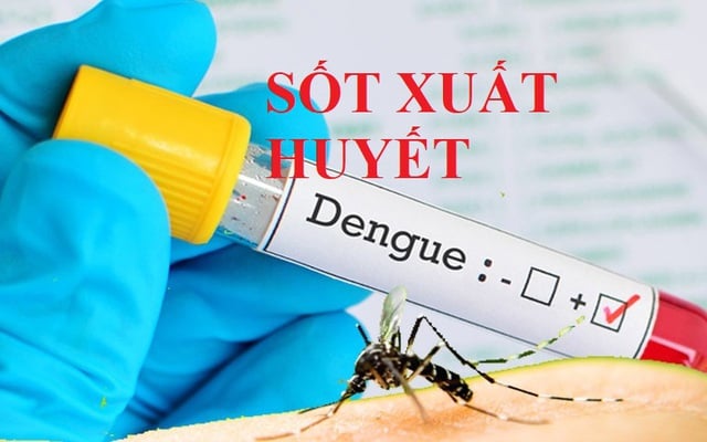 Thủ tướng yêu cầu tăng cường phòng, chống bệnh sốt xuất huyết
