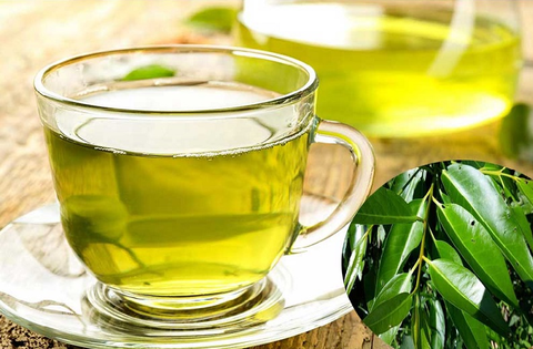 Nước lá vối có nhiều tác dụng tốt cho cơ thể, tuy nhiên vẫn có một số lưu ý khi sử dụng với một số người