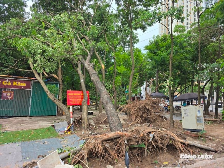 Người dân hạn chế ra đường trong điều kiện thời tiết nguy hiểm, tiềm ẩn nguy cơ cao về mất an toàn giao thông. Ảnh: Nhà báo & Công luận