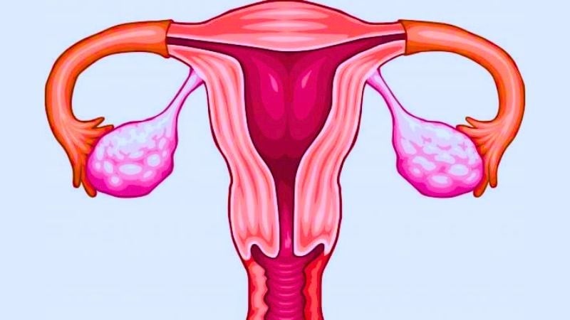vitamin E buồng trứng