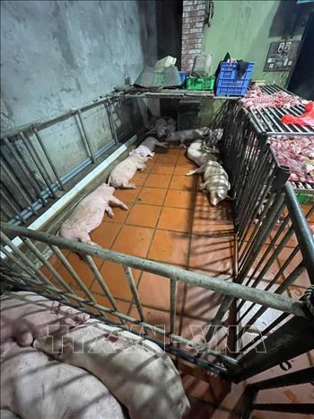 Hiện trường vụ việc (Ảnh: TTXVN)