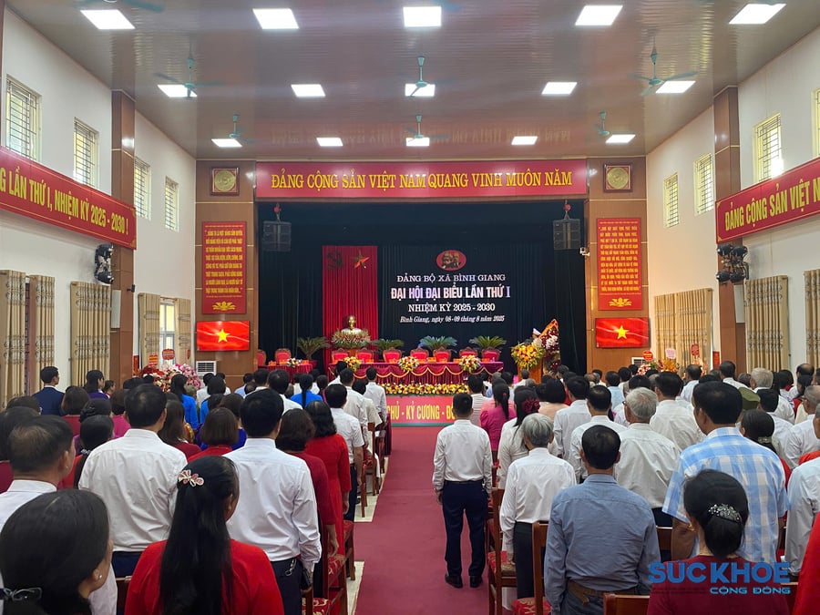 Quang cảnh Đại hội đại biểu lần thứ I, đảng bộ xã Bình Giang