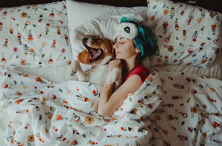Ngủ cùng thú cưng là một sự ấm áp và gắn kết khó thay thế (Ảnh minh họa)