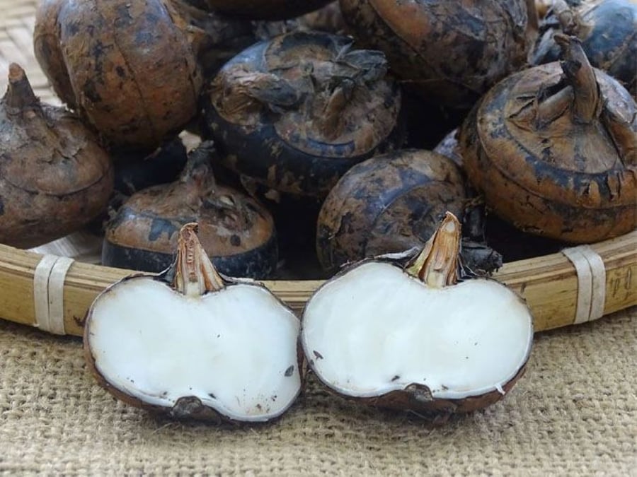 Củ năng sống chứa hàm lượng chất xơ cao (Ảnh minh họa)