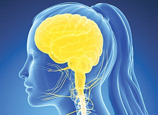 
Dịch não tủy được xem là một “hàn thử biểu” phản ảnh tình trạng sức khỏe của não bộ và cơ thể
