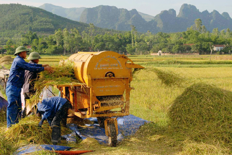 Vụ máy tuốt lúa đè chết người ở xã Quỳnh Lâm, Quỳnh Lưu, Nghệ An
