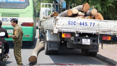 Bé trai bị thân cây dừa đè chết ở khu phố Hưng Thọ, Hưng Định, Thuận An, Bình Dương