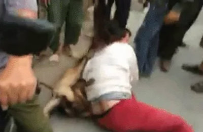 Tin tức Việt Nam - Tin trong nước ngày 15/10/2016: Vụ người phụ nữ trộm chó bị đánh ở Ninh Giang, Hải Dương