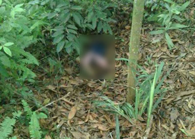 Phát hiện xác người đàn ông treo trên cành cây ở xã Tân Bình, La Gi, Bình Thuận