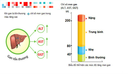 chi so ggt bao nhieu la nguy hiem 1