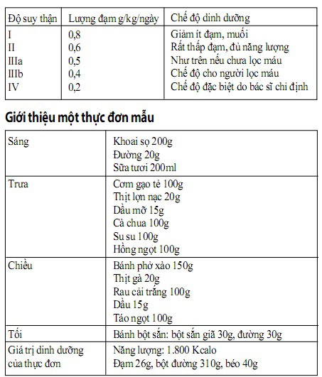 Thực đơn cho người bị suy thận mạn - Ảnh 1.