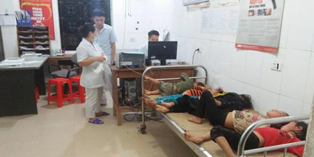 Hình ảnh 7 người ở Nghệ An nhập viện cấp cứu vì bị ong đốt khi thu hoạch lúa số 1