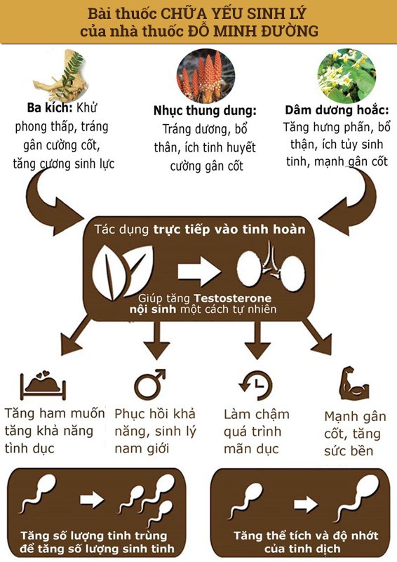 Yếu sinh lý là gì và cách điều trị khiến nhiều quý ông đều tấm tắc khen hay - Ảnh 5.