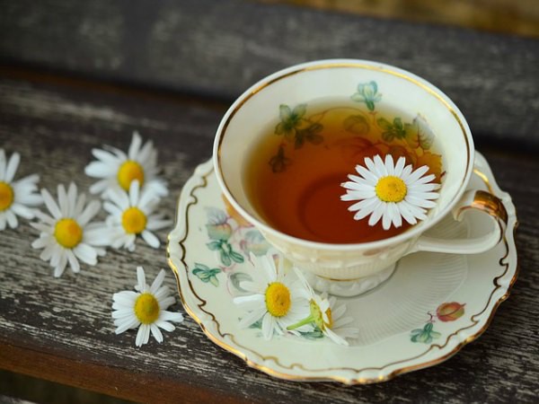 9 loại trà giúp điều trị tiêu chảy hiệu quả - Ảnh 1.