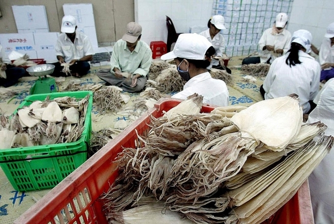 Nhật Bản sẽ áp dụng yêu cầu giấy chứng nhận thủy sản khai thác cho 4 loài: Mực ống - mực nang, cá thu đao, cá thu và cá trích. (Ảnh minh họa)
