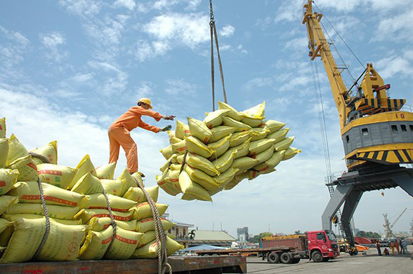 Xuất khẩu gạo Việt Nam vượt mốc 1 tỷ USD.