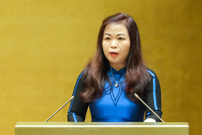 Phó Chủ nhiệm Ủy ban Tài chính, Ngân sách của Quốc hội Vũ Thị Lưu Mai.