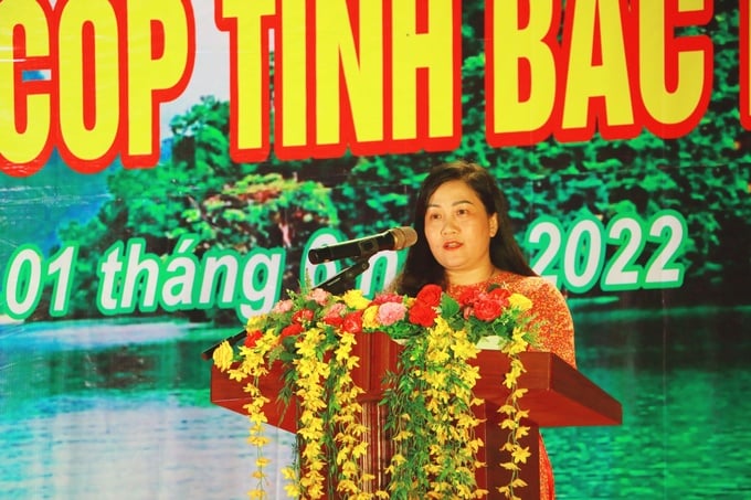 Bà Đỗ Thị Minh Hoa- Phó Chủ tịch UBND tỉnh phát biểu khai mạc
