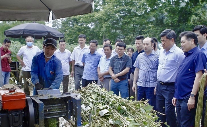 Ông Trần Thanh Nam, Thứ trưởng Bộ NN&PTNT cùng các đại biểu thăm vùng sản xuất cây gai xanh nguyên liệu tại xã Cẩm Tú.