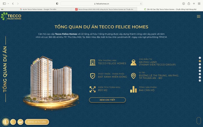 Dự án Tecco Felice Homes được quảng cáo rầm rộ trên mạng.