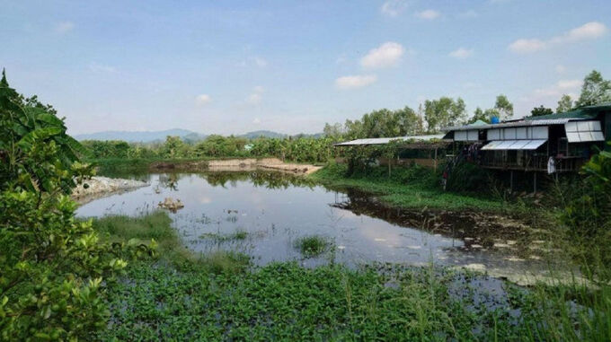 Hồ chứa nước chuyển màu trong trang trại Công ty TNHH Chăn nuôi Huỳnh Gia Phúc. (Ảnh: Thanh tra Sở Tài nguyên và Môi trường tỉnh Đồng Nai).