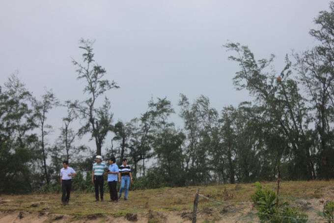 Lãnh đạo UBND tỉnh Quảng Ngãi yêu cầu các địa phương chấn chỉnh công tác quản lý, sử dụng đất ven biển, không để nhà đầu tư ôm đất chờ quy hoạch.