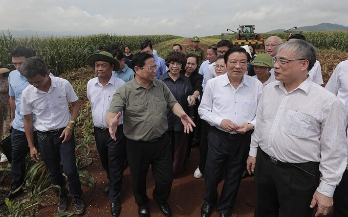 Thủ tướng và đoàn công tác đến thăm mô hình sản xuất nông nghiệp công nghệ cao ở huyện Nghĩa Đàn (Nghệ An) của Tập đoàn TH.