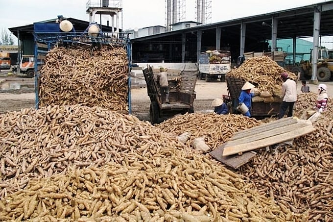 Thanh tra hoàn thuế GTGT mặt hàng xuất khẩu tinh bột sắn, cao su, hạt điều, dăm gỗ, nông sản.