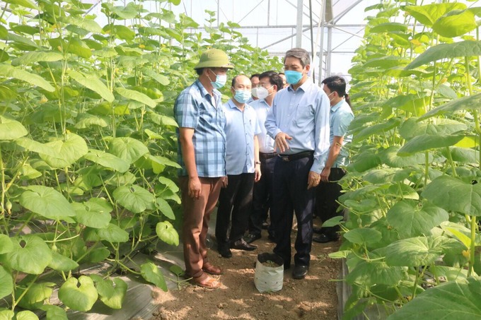 Lãnh đạo tỉnh Thanh Hóa đến thăm mô hình nông trại dưa công nghệ cao tại huyện Thiệu Hóa