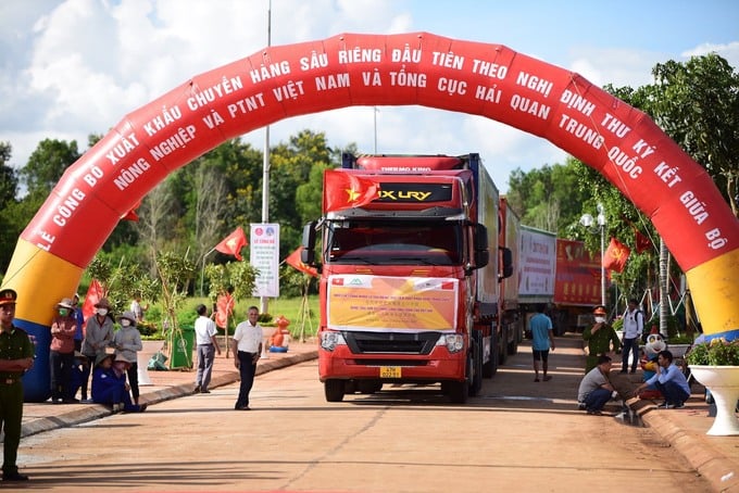 Hàng trăm tấn sầu riêng tươi của Việt Nam lần đầu xuất khẩu chính ngạch sang Trung Quốc.