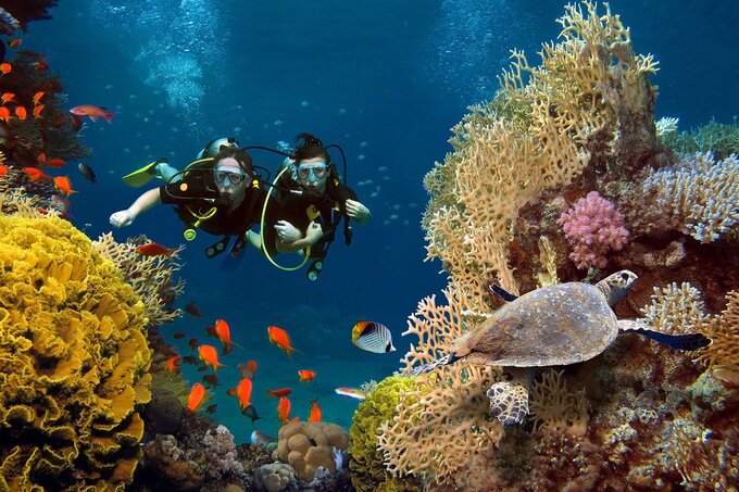 San hô ở biển Maldives tuyệt đẹp, không cần bơi xa quá 100m là có thể tận mắt ngắm các loài cá sặc sỡ giữa những nhánh san hô đủ màu.