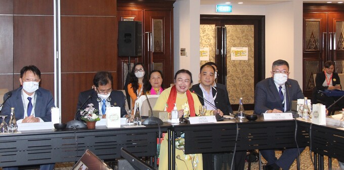 Chủ tịch Hội Tư vấn Thuế Việt Nam Nguyễn Thị Cúc phát biểu tại hội thảo