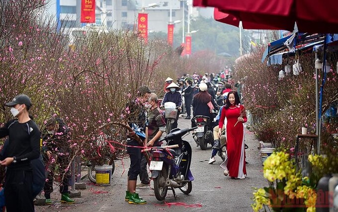 Hà Nội sẽ tổ chức 91 điểm chợ hoa phục vụ Tết Nguyên đán Quý Mão 2023. (Ảnh minh họa)