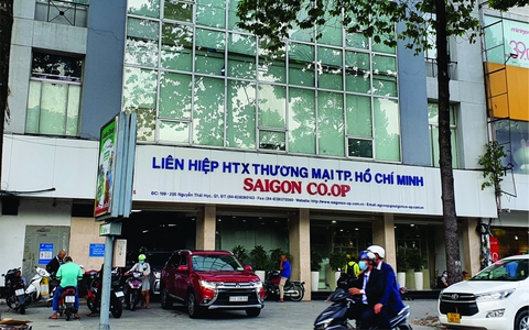 Một thành viên của Liên hiệp Hợp tác xã Thương mại Tp.HCM (Saigon Co.op) đã góp 1 lần hơn 283 tỉ đồng vào Saigon Co.op trong tháng 1/2020. Đây là một trong số vụ việc được thanh tra TP chuyển cơ quan điều tra.