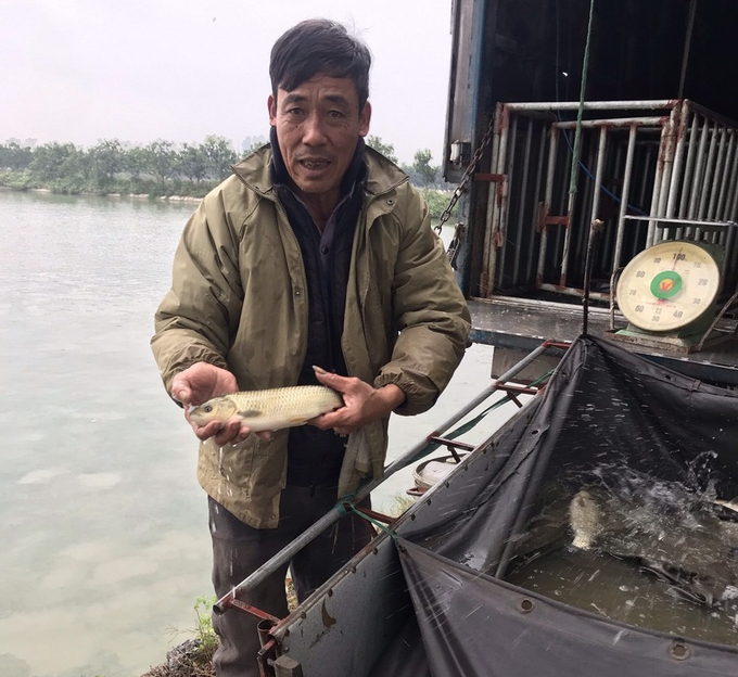 Chuyển đổi cơ cấu giống thủy sản tại xã Tri Trung - huyện Phú Xuyên mang lại hiệu quả kinh tế cao cho bà con nông dân.