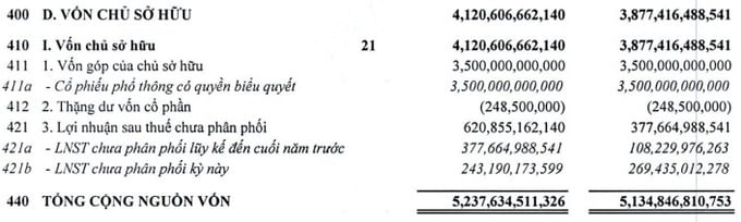 Số liệu trong BCTC Riêng lẻ Quý 4 2022 của Công ty Cổ phần Thaiholdings.